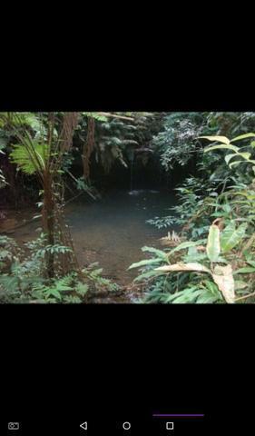 Chacrinha boa de água a 40 km de Palmas