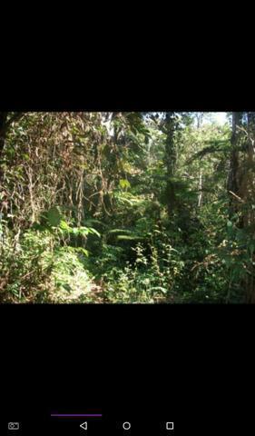 Chacrinha boa de água a 40 km de Palmas