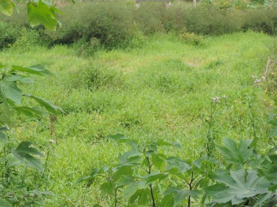 Excelente Terreno em Maricá
