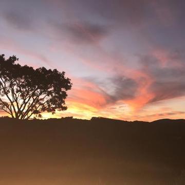 Terreno em  com linda vista