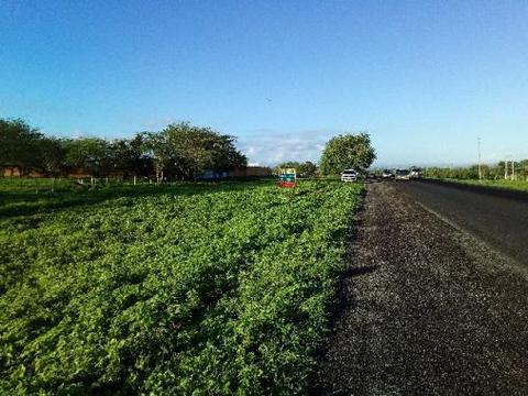 Área BR-423 em  3,2 Hectares para Chácara Loteamento Criatório fábricas