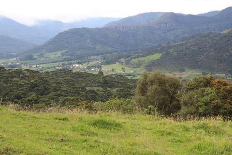 Terreno em  /chácara em