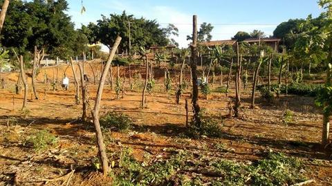 2.100m em Amarelos/