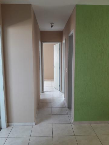 Apartamento Padrão