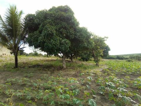 Vendo terreno em São Sebastião  sitio perna gorda