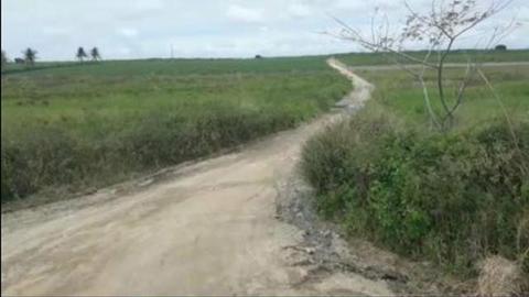 Terrenos em Sobrado para Granja Br230