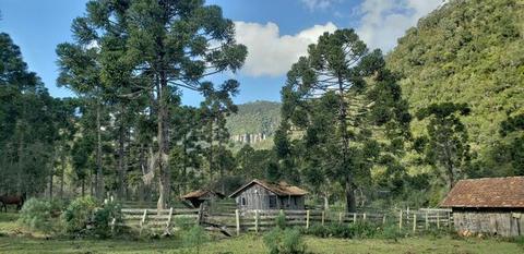 Sítio em  /fazenda em /chácara em