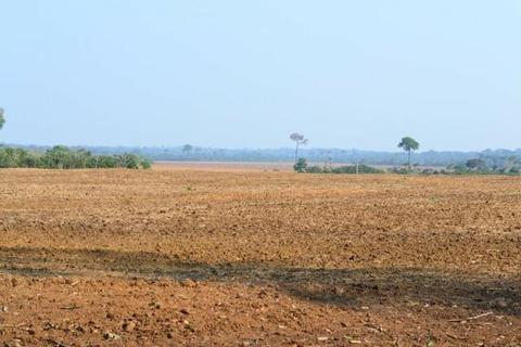 Fazenda Chapadão do Sul MS Soja
