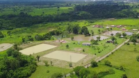 Chácara, sitio Escriturado 12 hectares, piscicultura na Estrada do Quixadá km 03