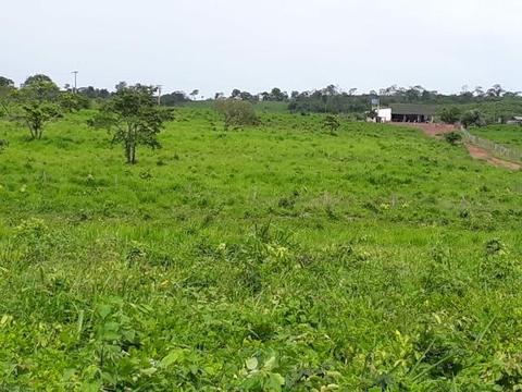 Fazenda super montada, com 310 hectares em -Maranhão! aceita troca!